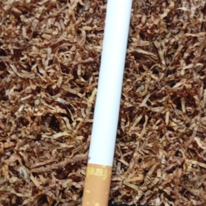 Вірджинія 202